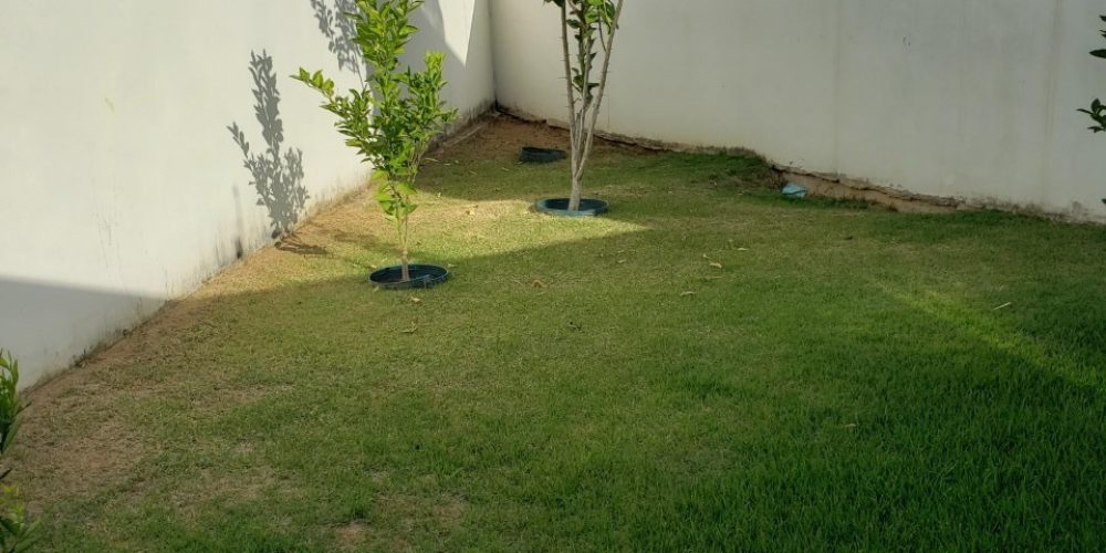 thumbnail_20190828_155635